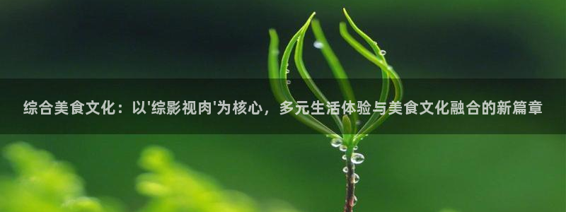 保利电影下载：综合美食文化：以\'综影视肉\'为核心，多元生活体验与美食文化融合的新篇章