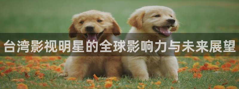保利国际影城官网：台湾影视明星的全球影响力与未来展望