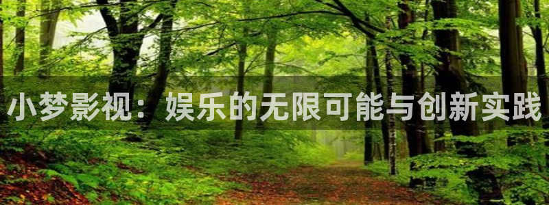 临沂保利国际影城：小梦影视：娱乐的无限可能与创新实践